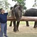 Wali Kota Gorontalo Marten Taha, saat mengunjungi Wisata Satwa Lembah Hijau, Lampung Sabtu, (28/5/2022). Foto : istimewa