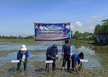 Dukungan Pemkab Bone Bolango Untuk Program Tiga Kali Musim Tanam Pertanian