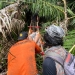 Tim SAR Gabungan melakukan evakuasi kepada anggota rombongan Mapala Belantara yang mengalami hipotermia saat mendaki di Gunung Tilongkabila, Bone Bolango, Sabtu (25/6/2022). (Istimewa)