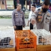 Kepolisian Resor Boalemo berhasil mengamankan Dua pelaku penyeludupan Puluhan Satwa yang dilindungi, pada Selasa (30/05/2022).