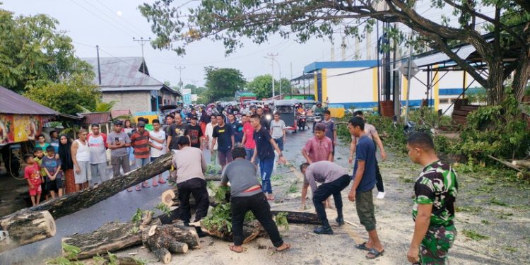 Sejumlah masyarakat dibantu aparat kepolisian dan TNI saat membersihkan pohon Tumbang. (Foto: Putra/Gopos)