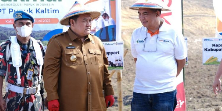 PT Pupuk Kalimantan Timur (PKT) kembali perluas program Makmur dalam mendorong produktivitas hasil pertanian, khususnya komoditas jagung di Kabupaten Boalemo Provinsi Gorontalo.