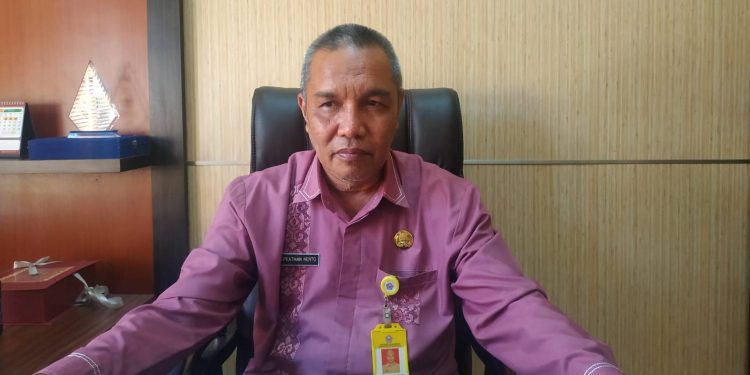 pegawai honorer