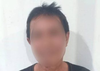 Pelaku pencabulan