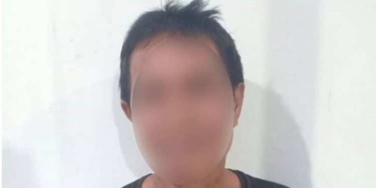 Pelaku pencabulan