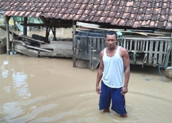 Rumah Warga di Desa Panca Karsa Satu, Kecamatan Taluditi, Jum'at 15/07/2022 (Istimewa)