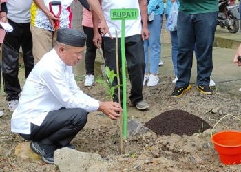 Bupati Pohuwato, Saipul Mbuinga, Canangkan 10 Ribu Pohon Bibit Tabebuya, Jum'at (08/07/2022)
