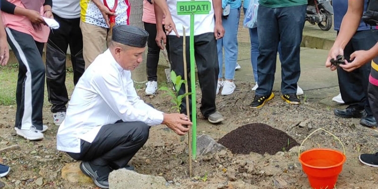 Bupati Pohuwato, Saipul Mbuinga, Canangkan 10 Ribu Pohon Bibit Tabebuya, Jum'at (08/07/2022)