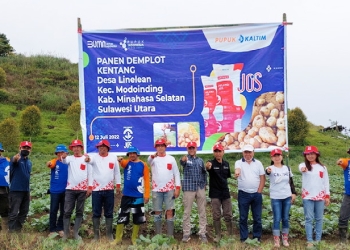 Panen perdana demplot kentang di Desa Linelean Modoinding, Selasa (12/7/2022).