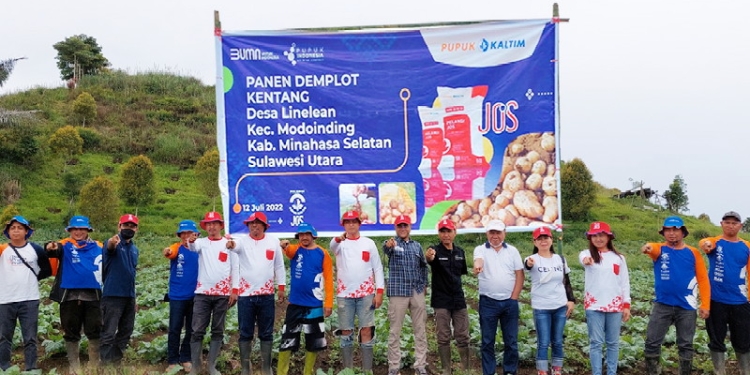 Panen perdana demplot kentang di Desa Linelean Modoinding, Selasa (12/7/2022).