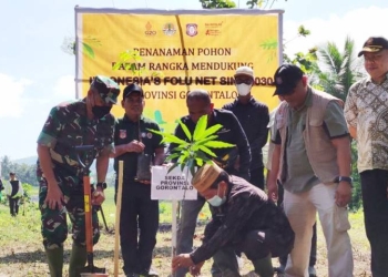 Penanaman Pohon