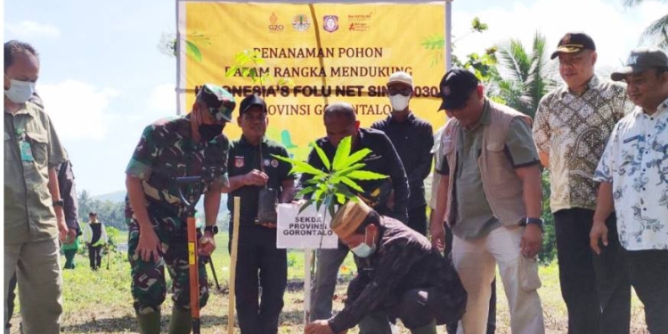 Penanaman Pohon