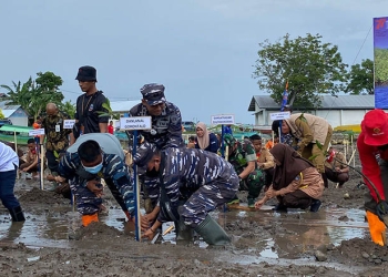Komandan Pangkalan TNI AL (Danlanal) Letkol Laut (P) Homa Sugama, saat melakukan penanganan bibit mangrove di Desa Tongo, Kecamatan Bone Pantai, Kabupaten Bone Bolango. Selasa (26/7/2022). Foto : Sari/gopos