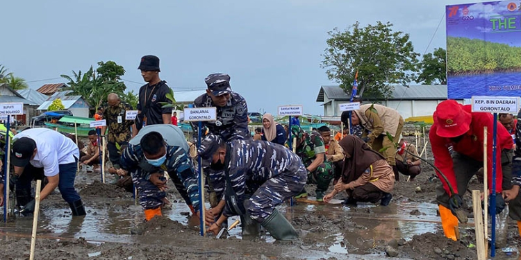 Komandan Pangkalan TNI AL (Danlanal) Letkol Laut (P) Homa Sugama, saat melakukan penanganan bibit mangrove di Desa Tongo, Kecamatan Bone Pantai, Kabupaten Bone Bolango. Selasa (26/7/2022). Foto : Sari/gopos