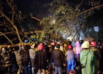 Sejumlah warga berupaya memberi pertolongan terhadap SN bersama istri dan anaknya yang tertimpa pohon saat melintas di jalan Trans Sulawesi Desa Timuato, Kecamatan Telaga Biru, Kabupaten Gorontalo, Senin (18/7/2022). (istimewa)