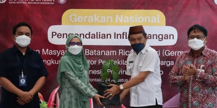 Plh Sekda Provinsi Gorontalo, Sutan Rusdi, menyerahkan secara simbolis paket bibit cabai kepada pewagai Bank Indonesia Provinsi Gorontalo dalam peluncuran GNPIP di Provinsi Gorontalo, Rabu (24/9/2022). (Foto: KPw BI Gorontalo)