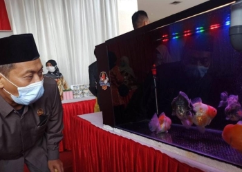 Ketua DPRD Kota Blitar, Syahrul Alim saat meninjau Pameran ikan hias di Blitar Square, Jum'at (12/8/2022). (foto: istimewa)