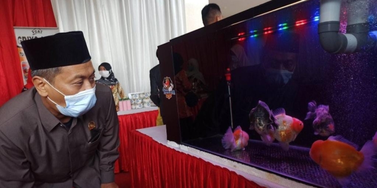 Ketua DPRD Kota Blitar, Syahrul Alim saat meninjau Pameran ikan hias di Blitar Square, Jum'at (12/8/2022). (foto: istimewa)