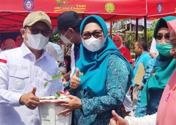 Germas batari