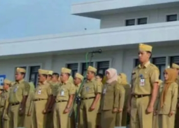 Ilustrasi Pegawai Honorer.