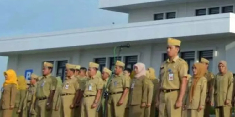 Ilustrasi Pegawai Honorer.