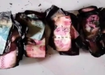 Penampakan uang panai untuk pernikahan yang terbakar di Kabupaten Gowa, Sulawesi Selatan [SuaraSulsel.id]