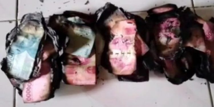 Penampakan uang panai untuk pernikahan yang terbakar di Kabupaten Gowa, Sulawesi Selatan [SuaraSulsel.id]