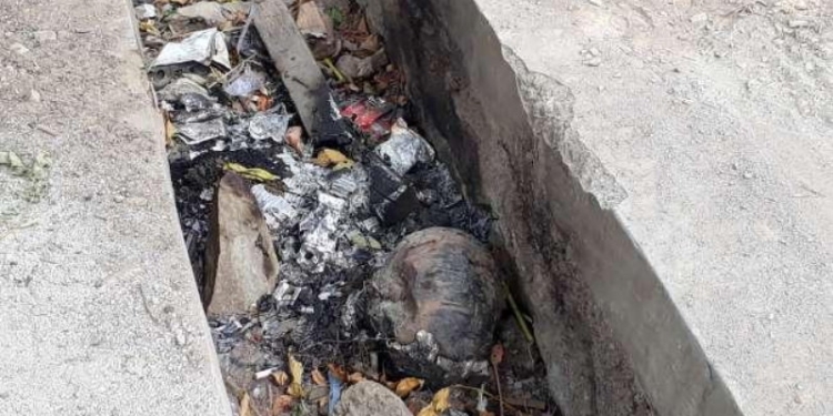 Terlalu Sering Main Game Mobile Legend, Suami di Depok Bakar Istri Hidup-hidup