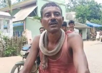 Seorang lelaki di India bernama Salim Khan nekat menggigit ular hingga tewas. Itu karena dirinya lebih dulu dipatuk ular kobra tersebut.