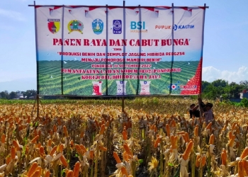Tingkatkan dukungan dalam mendorong produktivitas pangan khususnya jagung, PT Pupuk Kaltim turut mengambil peran mensukseskan program 'Ponorogo Mandiri Benih'.