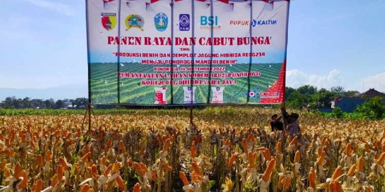 Tingkatkan dukungan dalam mendorong produktivitas pangan khususnya jagung, PT Pupuk Kaltim turut mengambil peran mensukseskan program 'Ponorogo Mandiri Benih'.