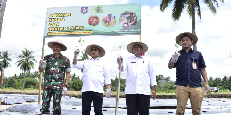 Penjabat Gubernur Gorontalo Hamka Hendra Noer (kedua kiri) didampingi Danrem 133/NWB Brigjen TNI Amrin Ibrahim melakukan aksi tanam cabe di Makorem, Rabu (14/9/2022). Gerakan tanam cabai diinisiasi Pemprov Gorontalo guna mendukung upaya menekan inflasi di daerah.(Kominfo Provinsi Gorontalo)
