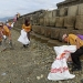 Aksi Muda Jaga Iklim dipusatkan di Pantai Rumah Tiga, Provinsi Ambon, Sabtu (29/10/2022). (istimewa)