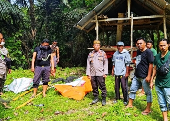 Kapolsek Tapa, Iptu Atmal Fauzi, bersama personel Polsek Tapa, membantu evakuasi seorang petani yang gantung diri di puncak gunung meranti
