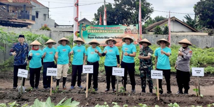 Penanaman pulihan bibit ubi jalar itu dilakukan di RW 09 Kelurahan Karangtengah, Kecamatan Sananwetan, Kota Blitar, Senin (21/11/2022). (istimewa)