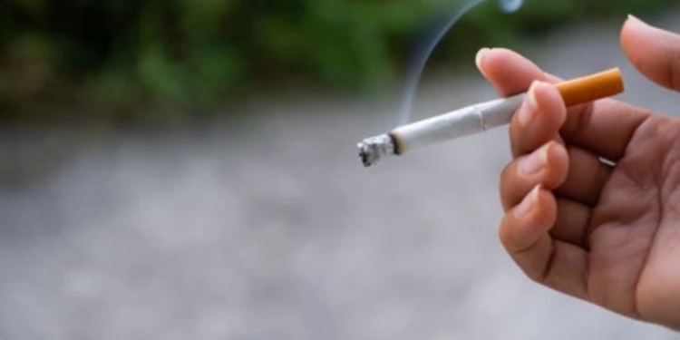 Ilustrasi Rokok. (Shutterstok)