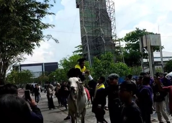 Foto: Tangkapan layar TikTok @ad4181mo