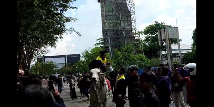 Foto: Tangkapan layar TikTok @ad4181mo
