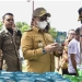 pasar murah batudaa