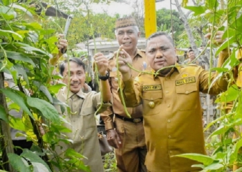 Wujudkan target normal pangan tahun 2024 Pemerintah Kabupaten Gorontalo launching program cerdas pangan, Senin (28/11)2022).