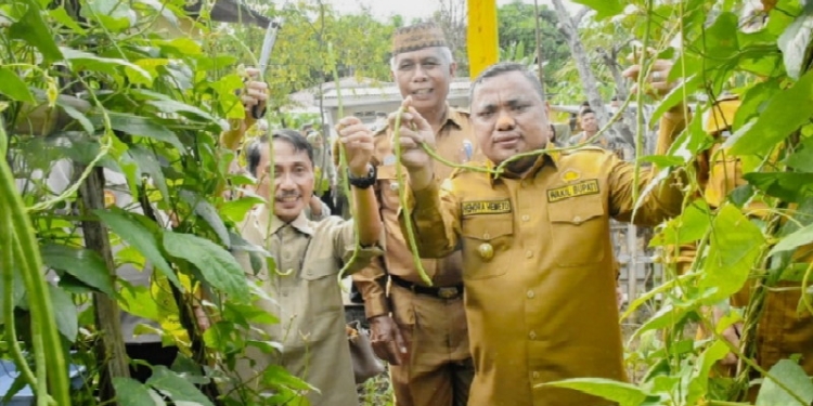 Wujudkan target normal pangan tahun 2024 Pemerintah Kabupaten Gorontalo launching program cerdas pangan, Senin (28/11)2022).
