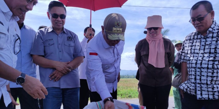 Penjagub Hamka didampingi Kadis Pertanian dan Ketua serta anggota Komisi I DPRD provinsi Gorontalo saat melihat langsung hasil panen yang menggunakan alat combine harvester besar, milik Pemprov Gorontalo, di Kecamatan Tibawa, Kabupaten Gorontalo, Rabu (4/3/2022). (Kominfo Provinsi Gorontalo)