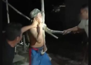 Dua warga berusaha melepaskan lilitan ular piton pada leher Iko Kamsuah, warga Desa Waluhu, Kecamatan Bone, Kabupaten Bone Bolango, Gorontalo. (istimewa)