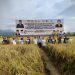 Rachmat Gobel didampingi Gubernur Ehime Jepang Tokihiro Nakamura, Bupati Hamim Pou, Wabup Merlan S. Uloli saat Panen Perdana Demplot Teknologi Pemupukan Padi Sawah Berbasis Organik (IPATBO) Produk PT. Seruniandal Citra Mandiri di Desa Iloheluma, Kecamatan Tilongkabila, Kamis (19/1/2023). (Foto Indra/Gopos)