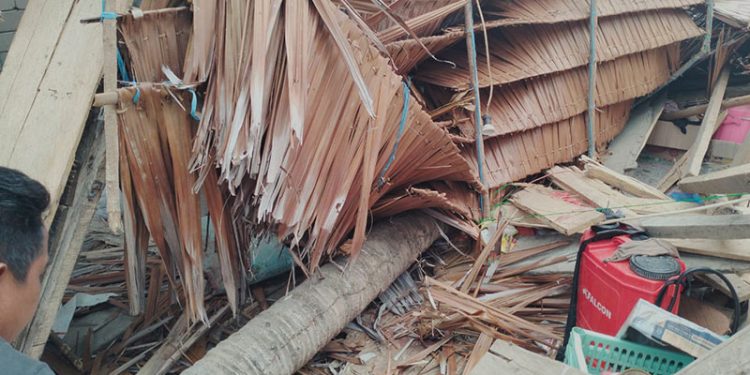 Kondisi rumah milik Waroka Hadju dan Misran Sulaeman porak poranda tertimpa pohon tumbang.