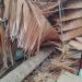 Kondisi rumah milik Waroka Hadju dan Misran Sulaeman porak poranda tertimpa pohon tumbang.