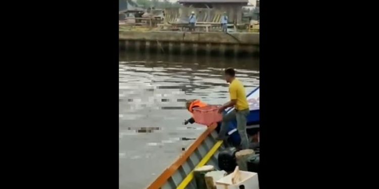 Foto: Tangkapan Layar Instagram/kepoin_trending