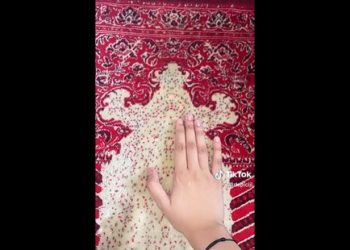 Foto: Tangkapan Layar Instagram/terang_media