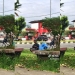 Foto: TikTok/sallsbllann