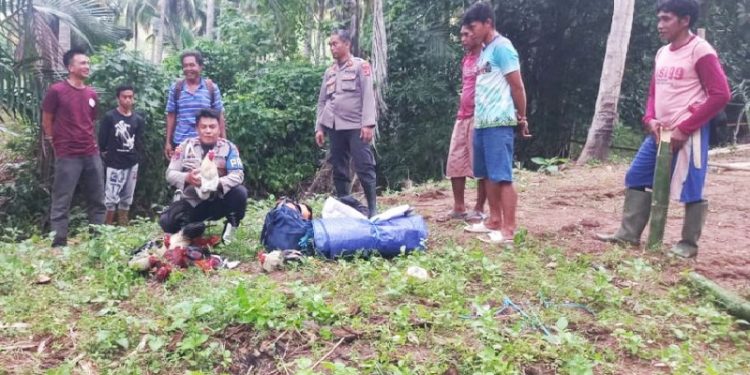 Polsek Dulupi membongkar dan menutup tempat pembuatan Cap Tikus serta tempat judi sabung ayam yang berada di wilayah Kecamatan Dulupi.
